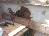 20201119_172929.jpg