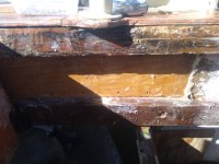 20201121_133911.jpg
