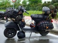 images (29).jpeg