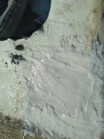 20201217_113757.jpg