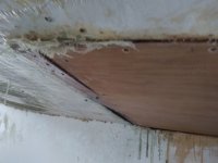20201218_110206.jpg