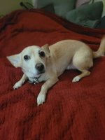 20201214_153951.jpg