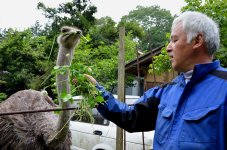 fukushima-radioactive-disaster-abandoned-animal-guardian-naoto-matsumura-6.jpg