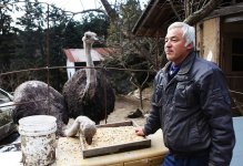 fukushima-radioactive-disaster-abandoned-animal-guardian-naoto-matsumura-9.jpg