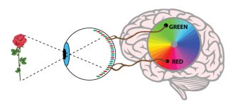 eyediagram1.jpg