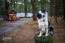 tiny-house-giant-journey-mobile-home-jenna-guillame-22.jpg