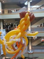 20150227_104243.jpg