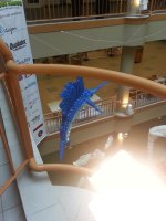 20150227_104321.jpg