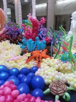 20150227_104530.jpg
