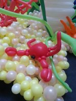 20150227_104550.jpg