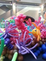 20150227_104558.jpg