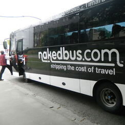 naked-bus-244x245.jpg