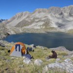 camping-wild-new-zealand-244x244.jpg