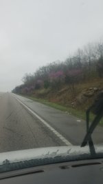 20210410_105703.jpg