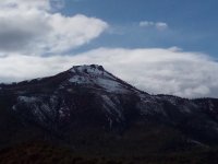 IMG_20210324_164215.jpg