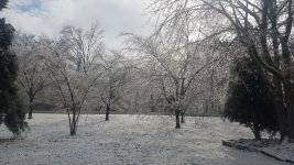 20210217_090233.jpg