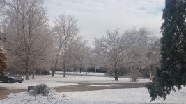 20210217_090229.jpg