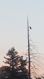 20200921_185123.jpg