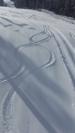 20191127_102832.jpg