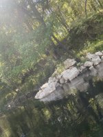 IMG_2299.JPEG