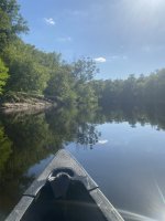 IMG_2308.JPEG