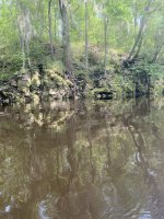 IMG_2244.JPEG