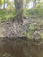 IMG_2281.JPEG