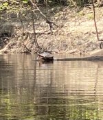IMG_2259.JPEG