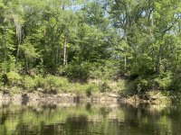 IMG_2247.JPEG
