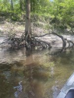 IMG_2252.JPEG