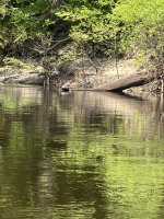 IMG_2258.JPEG