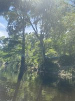 IMG_2289.JPEG