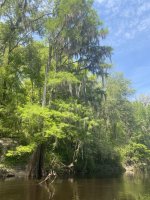 IMG_2285.JPEG
