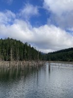 C7BB924E-4E6B-4955-B9DC-763BA83FFAF9.jpeg