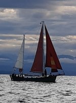 20210720_180042.jpg
