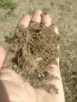 soil1.jpg