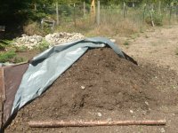 soil7.jpg