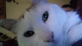20210815_090614.jpg