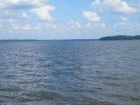 Lake_D'Arbonne_at_Farmerville,_LA_IMG_3846.jpeg