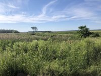 Lookin out over the wildlife refuge.JPG