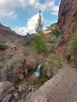 IMG_20210416_175042_3.jpg