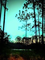 IMG_20220721_202332972~3.jpg