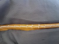 20221022_133325.jpg