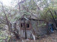 IMG_20221116_104242.jpg