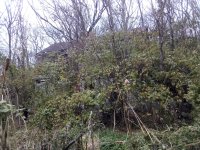 IMG_20221116_104312.jpg