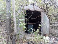 IMG_20221116_104248.jpg
