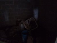 IMG_20221116_104901.jpg