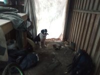 IMG_20221129_083034.jpg