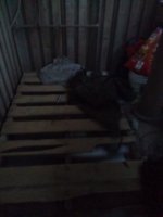 IMG_20221202_071615.jpg