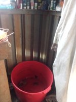 IMG_20221202_102916.jpg